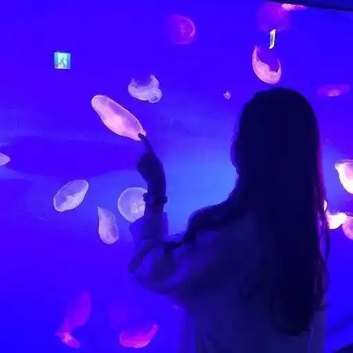 5.10头像壁纸
