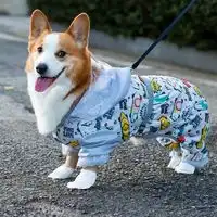 嬉皮狗狗狗服饰hipidog嬉皮狗迎龙年小狗狗衣服新年泰迪比熊博美小型犬宠物秋冬款过年牵引绒衣多少钱
