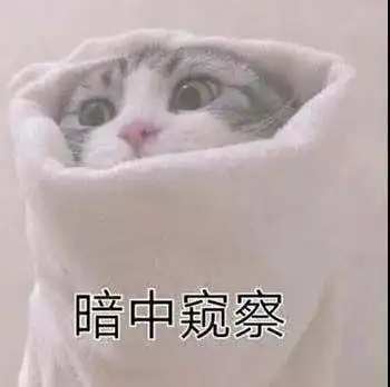 生活不易猫猫叹气可爱的猫咪表情包
