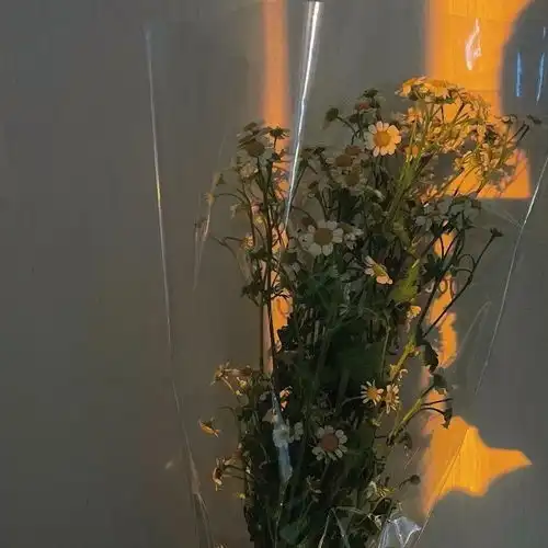 温柔干净短句文案

