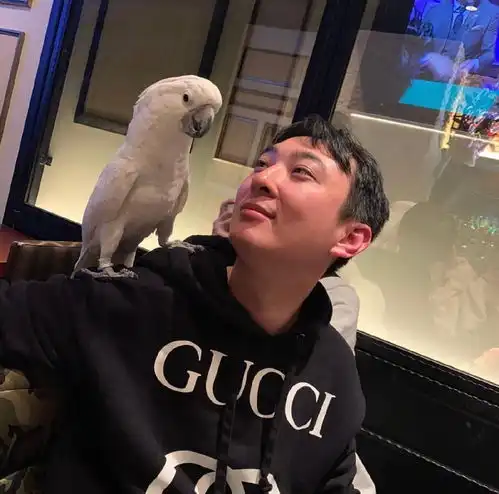 王思聪逛商场看到情侣拥抱,当众模仿抱着男友人画面十分搞笑
