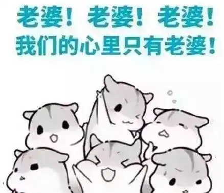2017年度50大逗逼新闻他们把生活过成了段子
