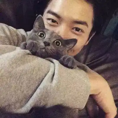 情侣头像时间会把陪伴熬成最美的情话
