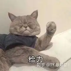 青春猪头少年不会梦见兔女郎学姐真的好看吗
