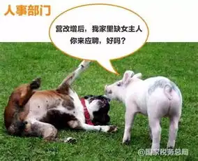太有才了520,营改增一线税务人这样表白
