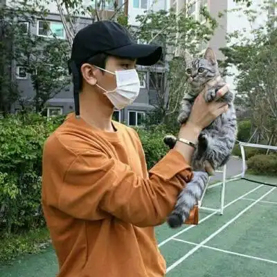 风犹且恋亦可怜,待得风采更何愿
