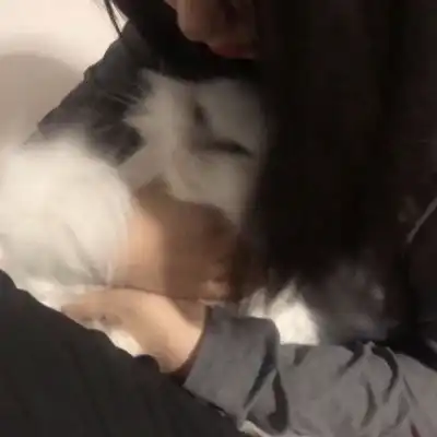 温柔抱猫部位闺蜜头遇到那么多女生头像我要个性网
