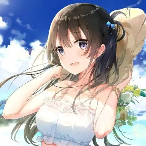 次元领域
