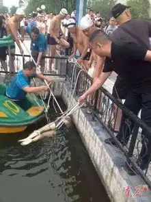 河南郑州一对情侣相继跳湖身亡疑因恋爱遭家人反对图
