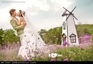 拥抱亲吻的情侣婚纱摄影图片免费下载编号3134001红动网
