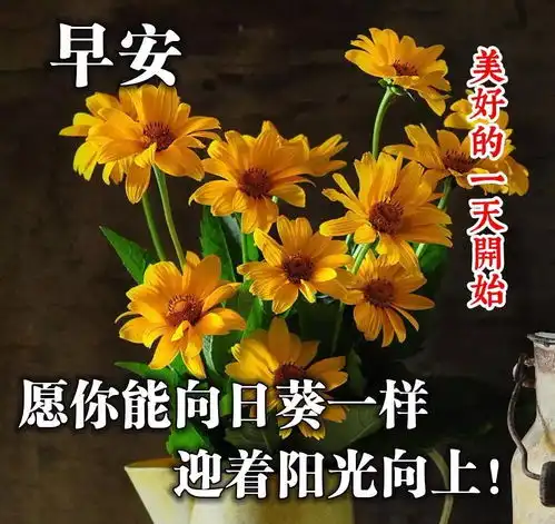 特别漂亮早安问候语动态图片,2021微信会闪动的精美祝福早安动图
