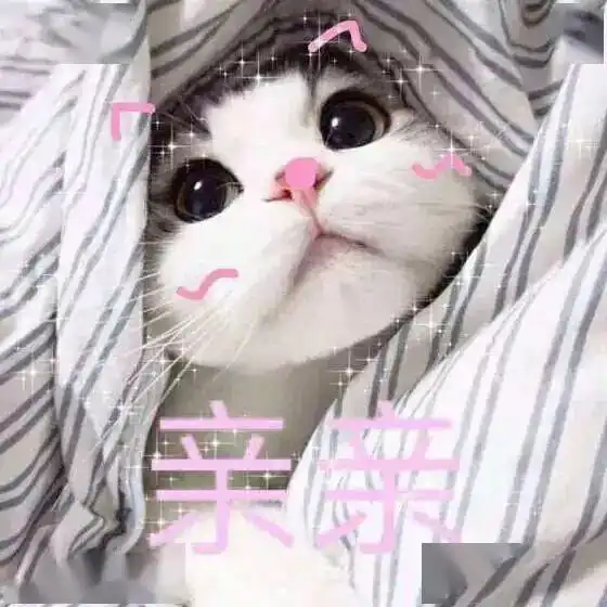 520被猫秀一脸
