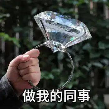 公开招聘即日起开始报名

