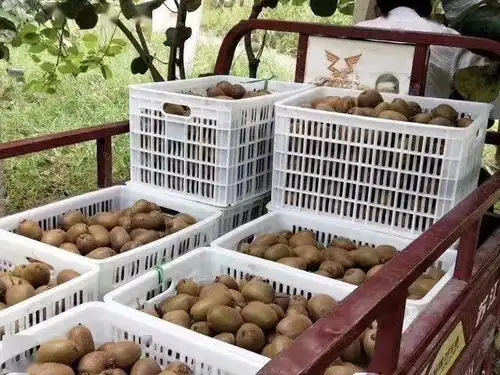 定了最高奖励10000,周至邀您参与
