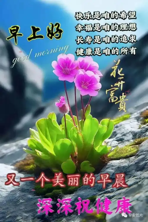2023年8月22日早安精选问候祝福图片微信之中问平安,祝你健康又快乐,早安
