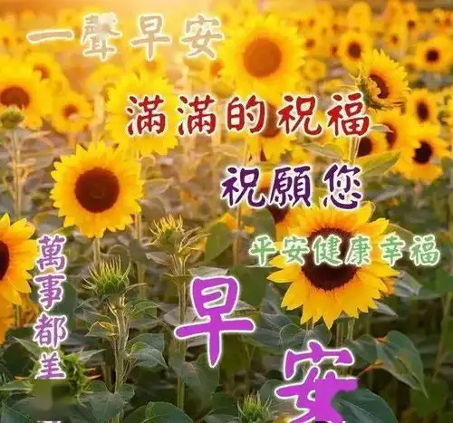 微信群发清晨祝福朋友早上好动态图片带字最新问候大家早上好的祝福语录句子
