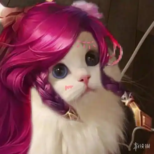 王者荣耀猫咪接头头像大全
