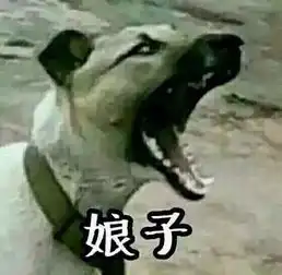 所有人,你俩的情侣头像真该换换了
