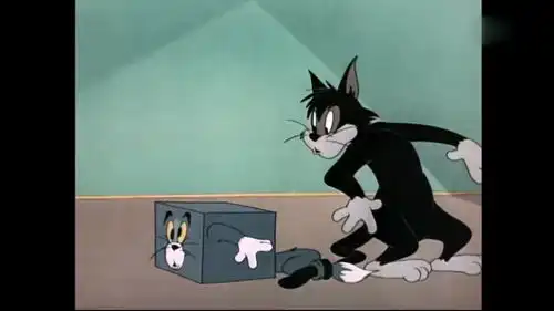 猫和老鼠汤姆和黑猫缠斗的时候,小白猫和杰瑞已经走了
