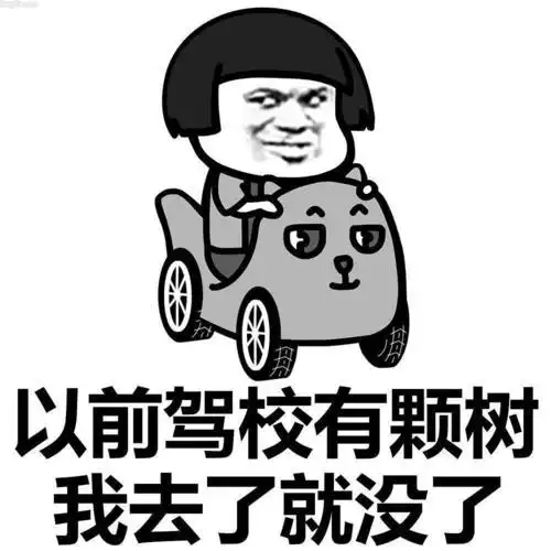 高考结束后,父母把我送进了驾校,开启了新的副本
