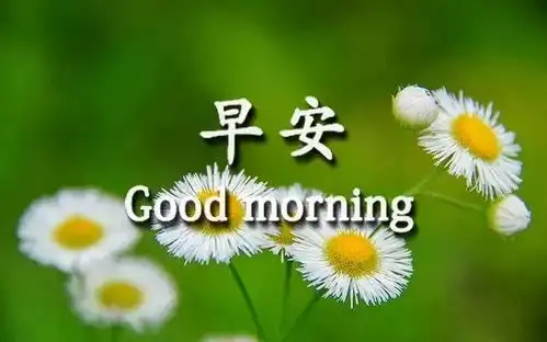 10月4日秋季微信朋友圈早安问候语录图片最新版清晨祝福语暖心句子送给你
