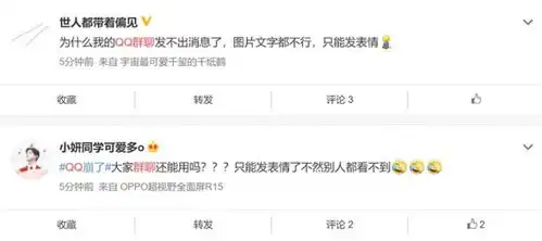 腾讯qq部分群聊出bug只能发表情发不出文字图片
