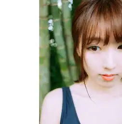 26度的风,风一样的梦
