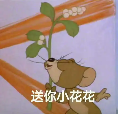 四川大学的舞蹈系很难考吗
