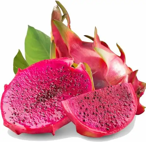 pitaya1043981水果png图片
