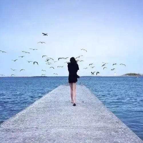 人生就是一场戏
