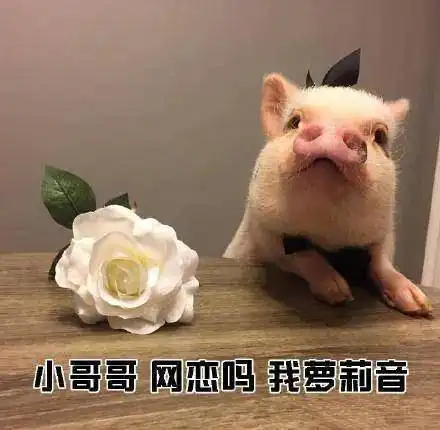 开口跪猛男苦练萝莉音,骗走游戏宅50万
