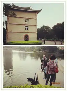慵懒的鼓浪屿
