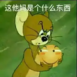 谁tm能告诉我,我抱的这是个什么玩意儿
