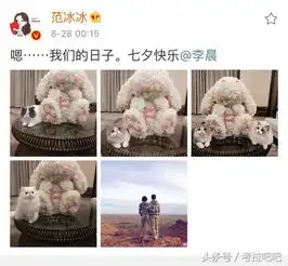 范冰冰七夕示爱李晨,到底结不结婚
