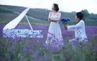 广西玉林五彩田园荷花节定于七月五日开幕兴
