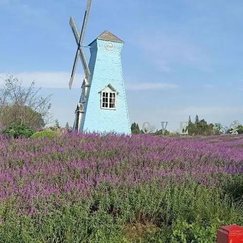 云澜湾四季花海乐园门票,云澜湾四季花海乐园游玩攻略360地图
