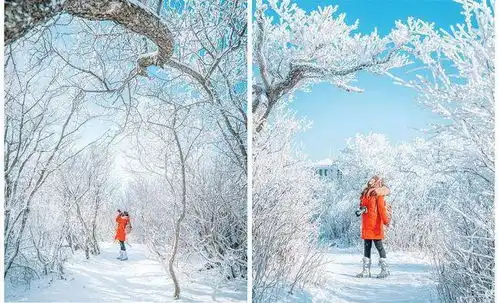 冬日如何拍摄雪景全攻略
