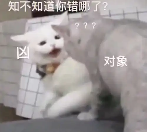 情侣吵架表情包专用
