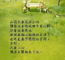 微情书的意思微情书是什么意思
