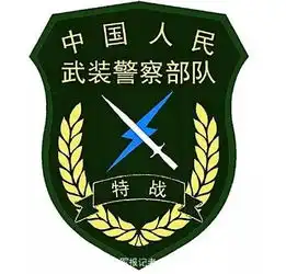 武警更换标志服饰
