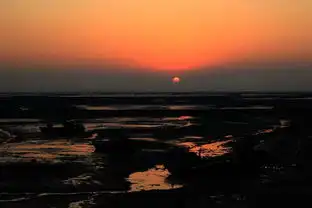 厦门,郊外早晨海边朝阳风光
