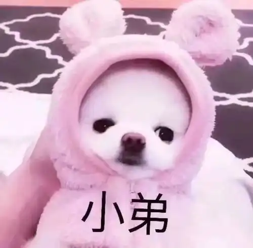 城市里的夜风很大,没有我的地方记得早回家娱乐频道
