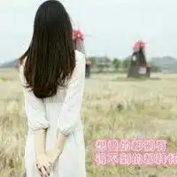 像风一样自由
