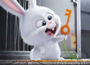 请问一个可爱的小白兔的动画片叫什么名字我想看

