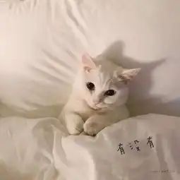 有没有
