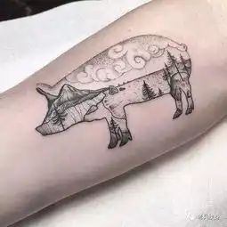 纹身素材生肖猪
