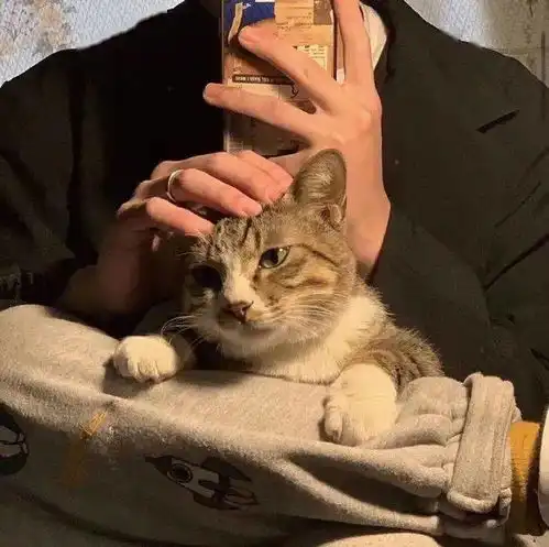 头像最近圆了许多我的可爱又多了一吨
