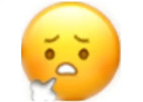 山理工人表情包识别中
