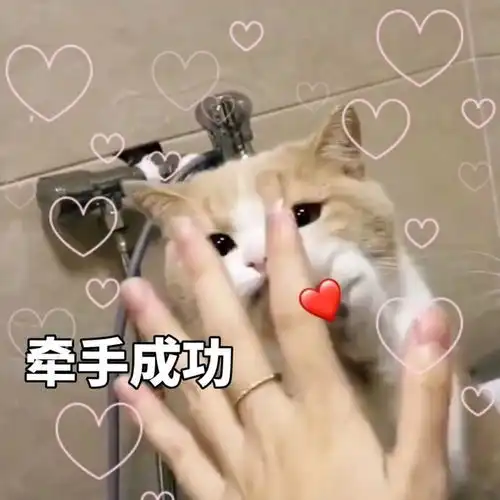 尸体火化聚餐完给朋友转账不小心转给了前男友已...
