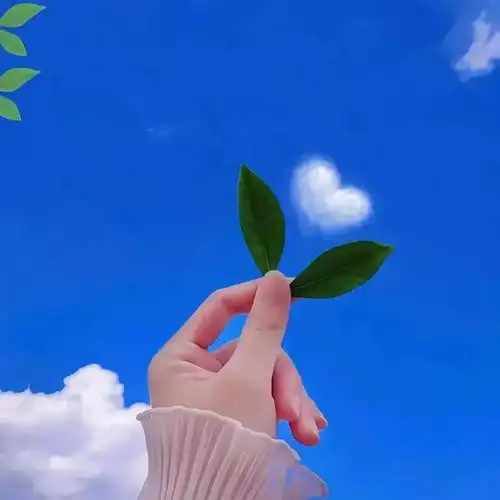 2025年最火的头像来啦
